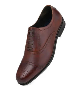 Alberto Torresi Brown Formals Lace-Ups -Urban Shoes Store 88651 BROWN 4 ca7b3ff8 5f3e 44d0 b1f1 146e40379cd9