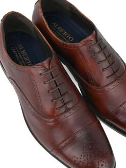 Alberto Torresi Brown Formals Lace-Ups -Urban Shoes Store 88651 BROWN 7 a55214ac bda2 4380 b37f 47497872555c